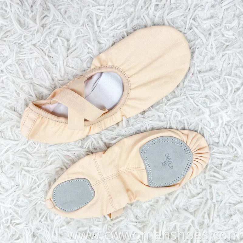 Premium Ballet Dance Slippers for Women and Girls Performance